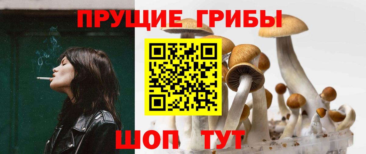 Галлюциногенные грибы мухоморы  магазин  наркотиков  Псилоцибиновые грибы Magic Shrooms  Жуковский  Вход с VPN 